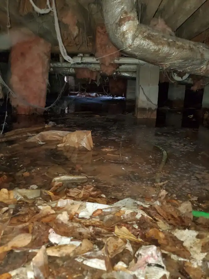 Crawl space flood assessment for Leak Detection & Repair in Sidney